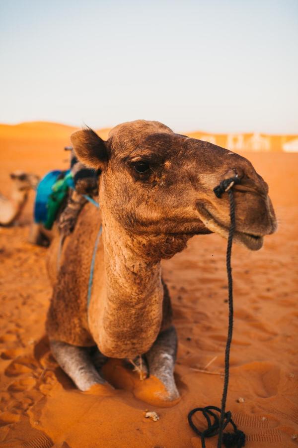 Sanmao Desert Luxury Camp Merzouga Eksteriør billede